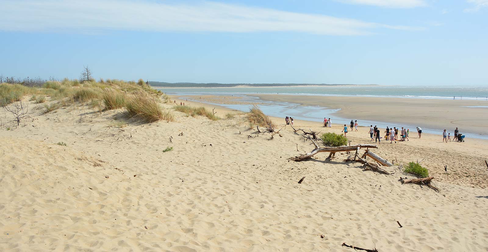 Dune de sable sur la plage de Saint-Trojan à Oléron