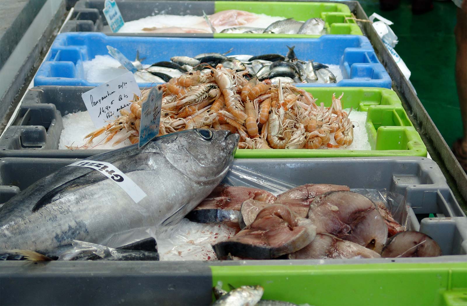 Fish and seafood on a market in Oléron