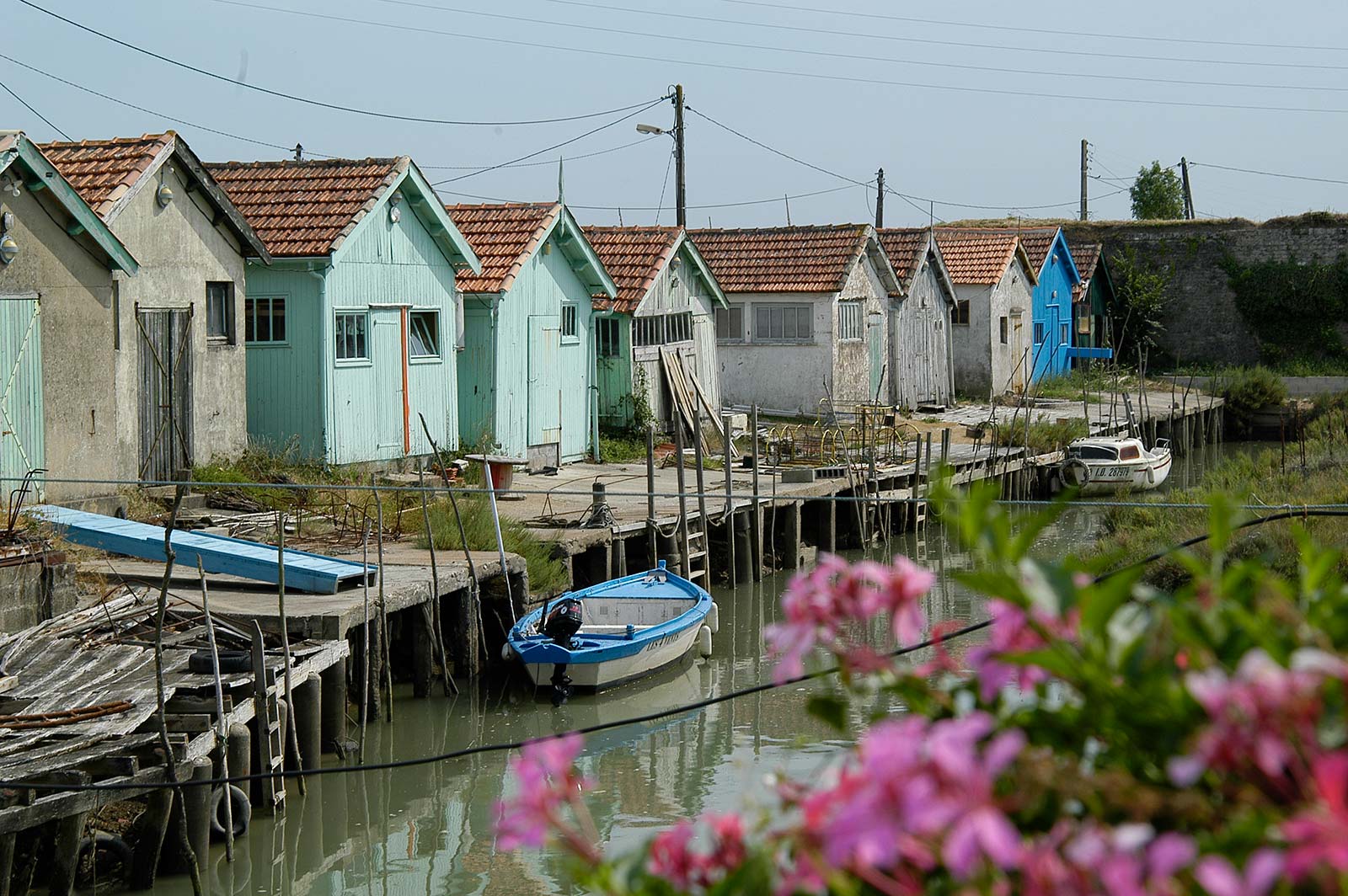 Fisherman's houses on the oyster route in Oléron