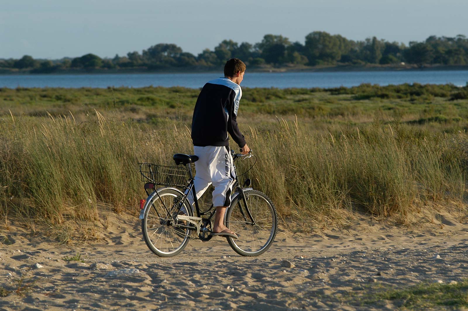 Cyclist on a cycle path by the sea in Oléron