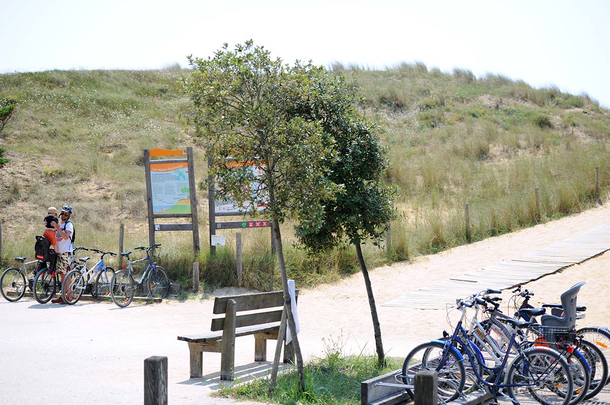 Piste cyclable avec vélos devant un accès à la plage à Oléron
