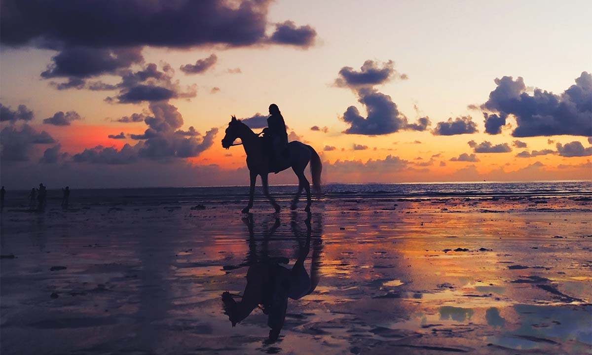 Horse and its rider in the evening on a beach in Charente Maritime