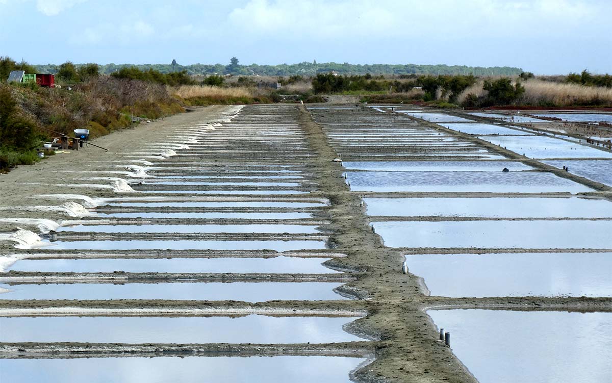 La Salorge salt marshes at Port des Salines