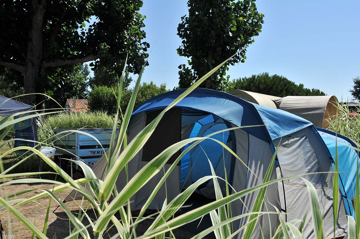 Plante et tente sur un emplacement de camping à Oléron