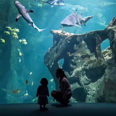 Aquarium de La Rochelle