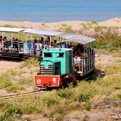 Le Petit Train de Saint-Trojan