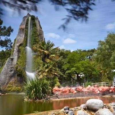 Zoo de la Palmyre
