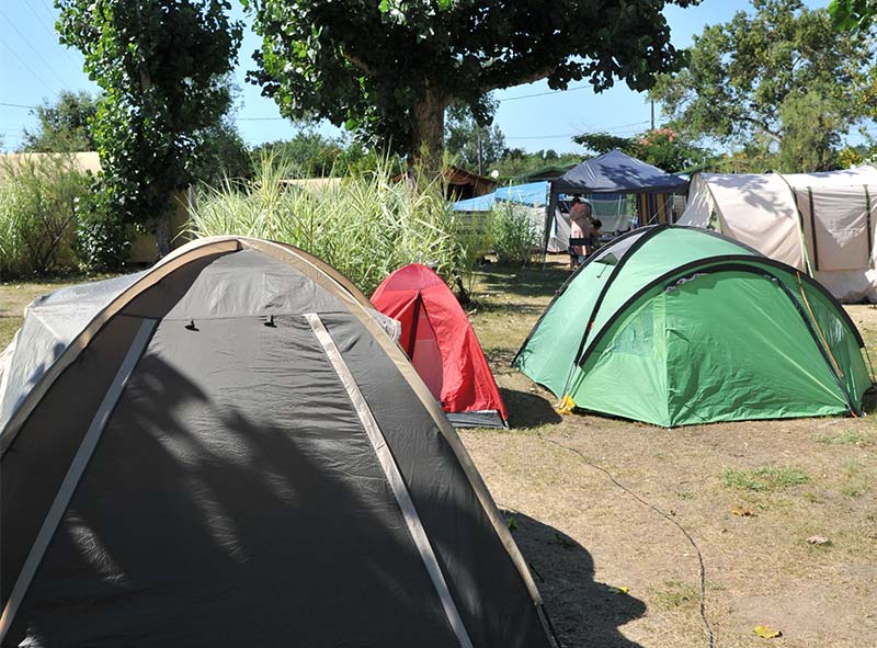 Tentes sur des emplacements de camping à Oléron