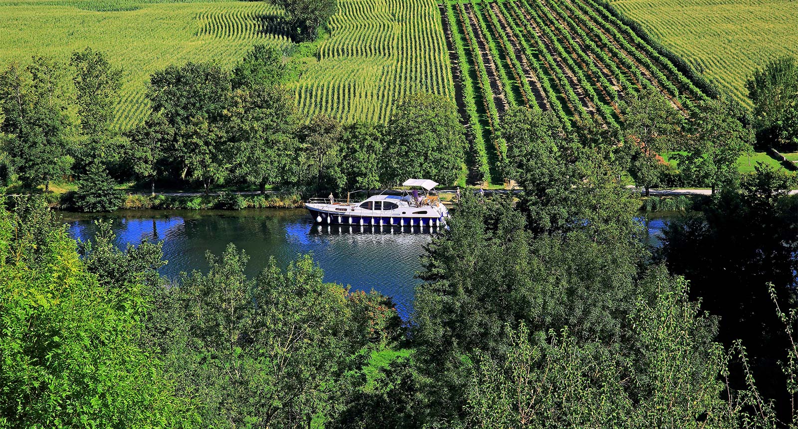 Boat_en_cruise_on_the_Charente_bordee_by_les_vignes_near_Mosnac-Saint-Simeux_4949