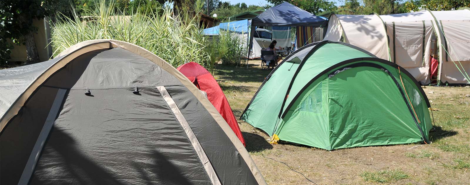 Tentes sur des emplacements de camping à Oléron