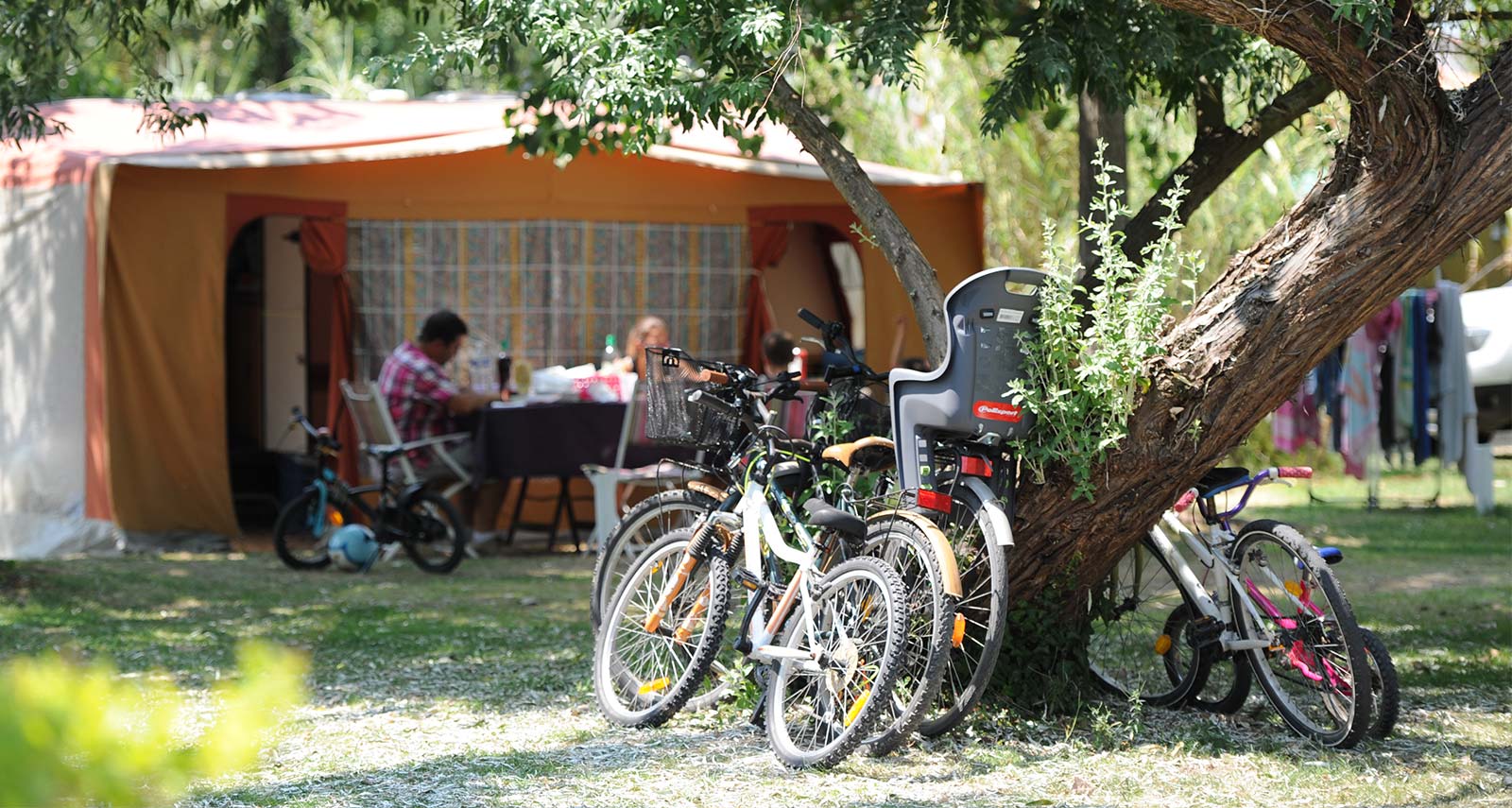 Bicycles under a tree next to the terrace of a caravan at the campsite in Oléron
