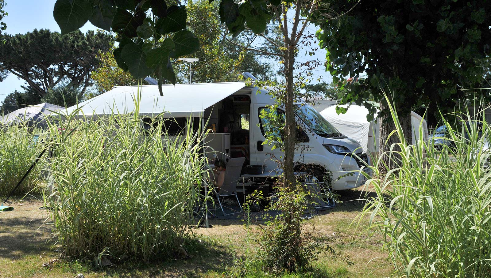 Motorhome on a shaded pitch at the campsite in Oléron