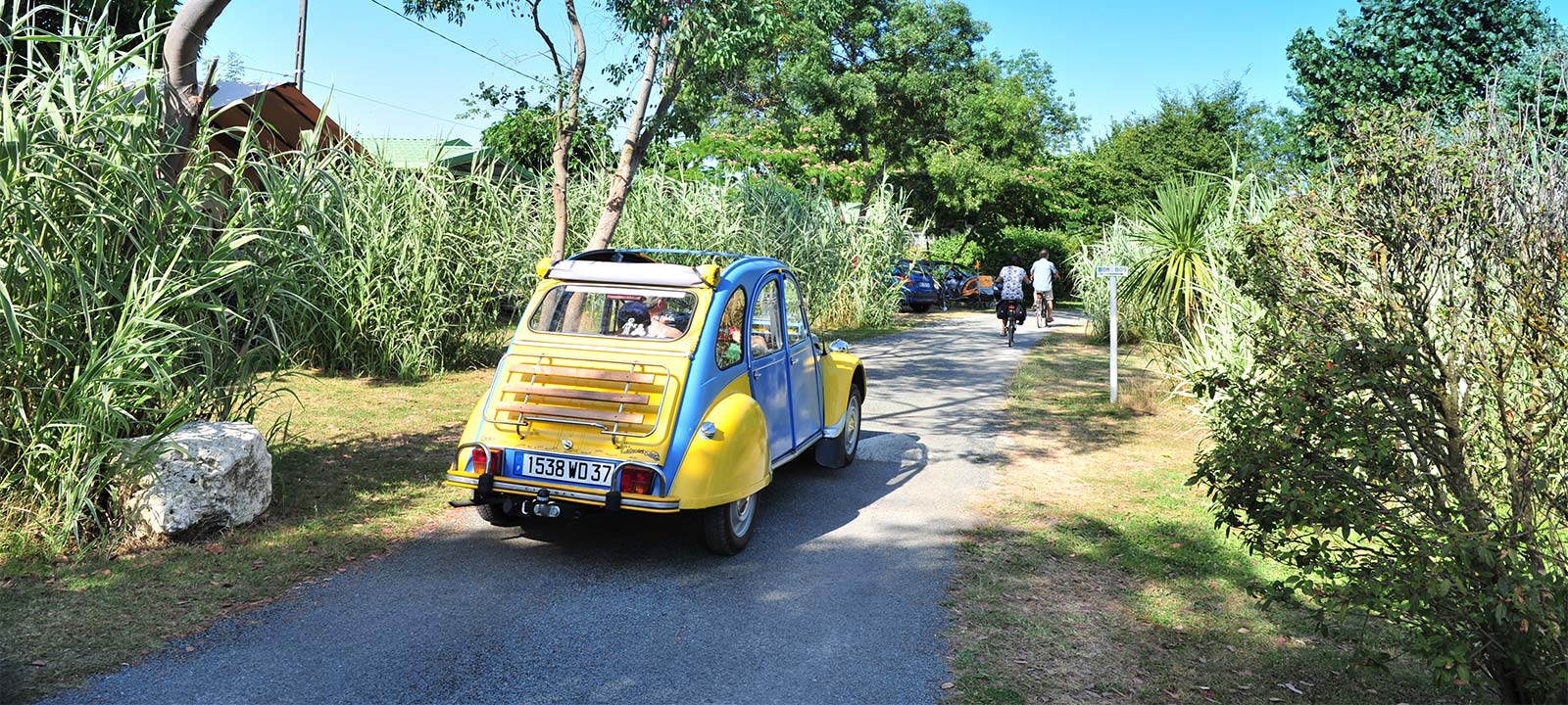 Citroën 2CV jaune et bleue dans l'allée du camping à Oléron