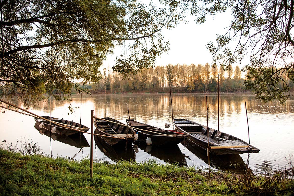 Flat-bottomed boats in the Poitevin marshes