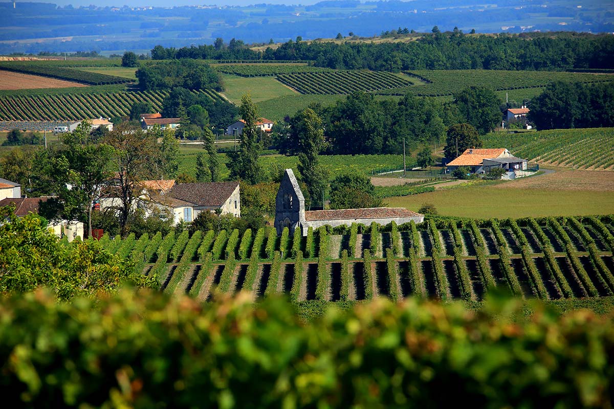 View_of_Birac_and_its_church_from_les_vignes_3317