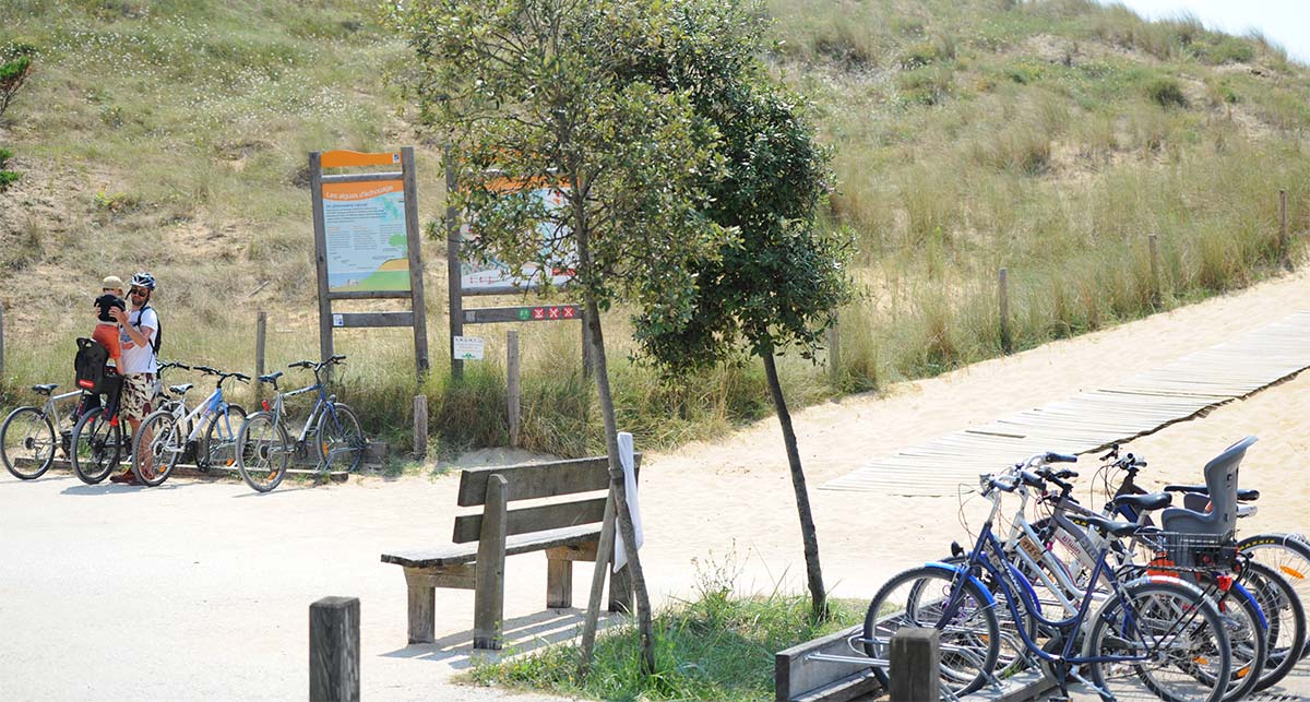 Piste cyclable avec vélo sur une dune sauvage à Oléron