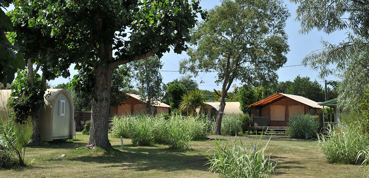 Mobile homes for rent in the campsite park in Oléron
