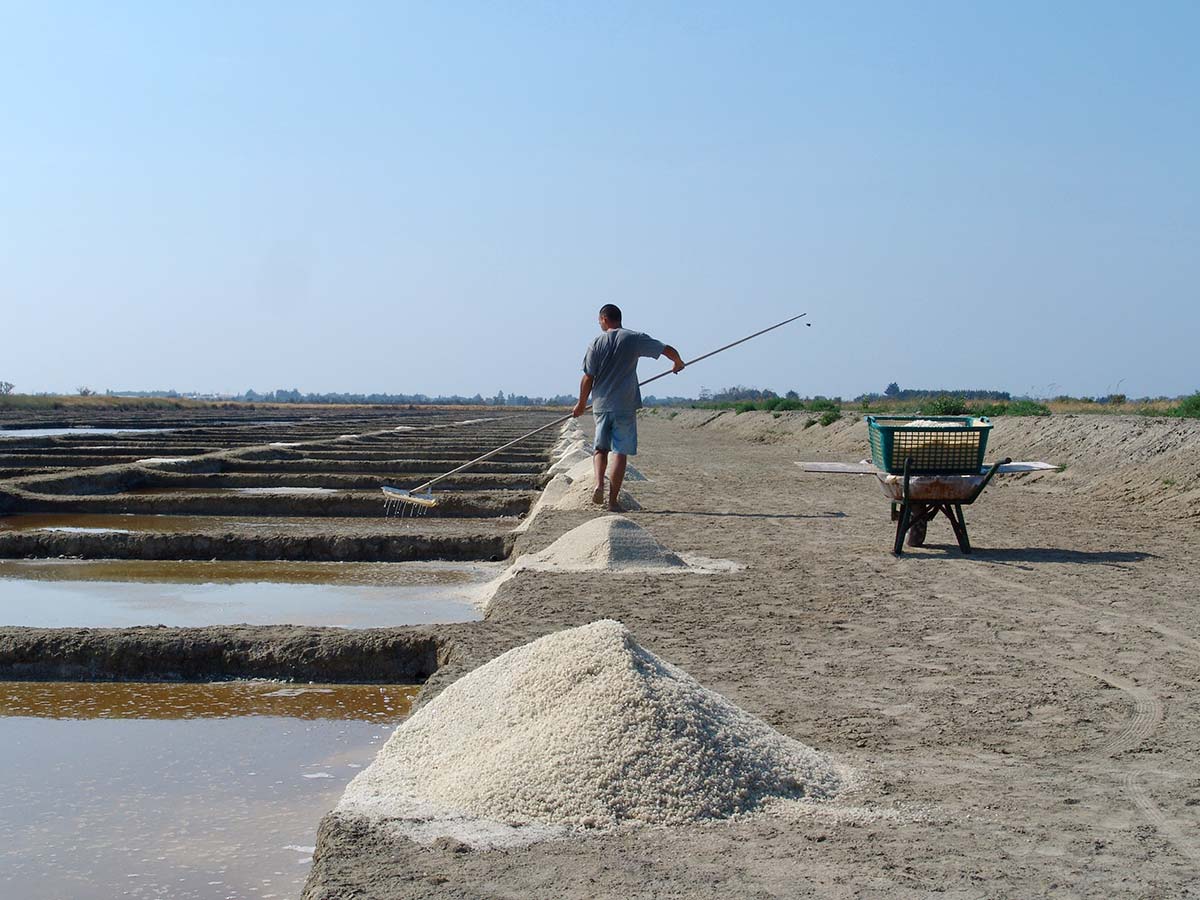 Salt worker in a salt marsh in Charente Maritime near Oléron